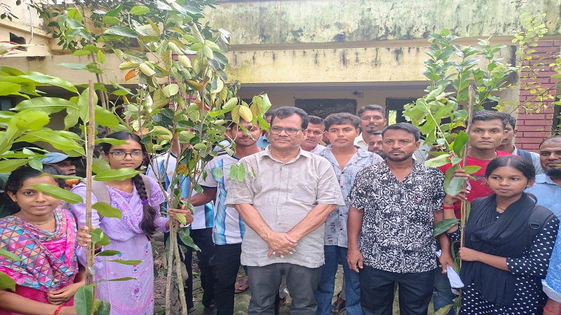 সাতক্ষীরার তলায় বৃক্ষরোপণ ও চারা বিতরণ করলেন জেলা পরিষদ প্রশাসক হাবিব
